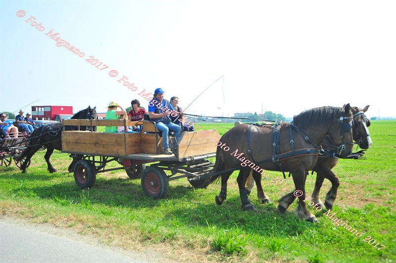 DSC_0779.JPG